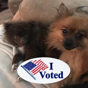 Meet your Posher, Laura